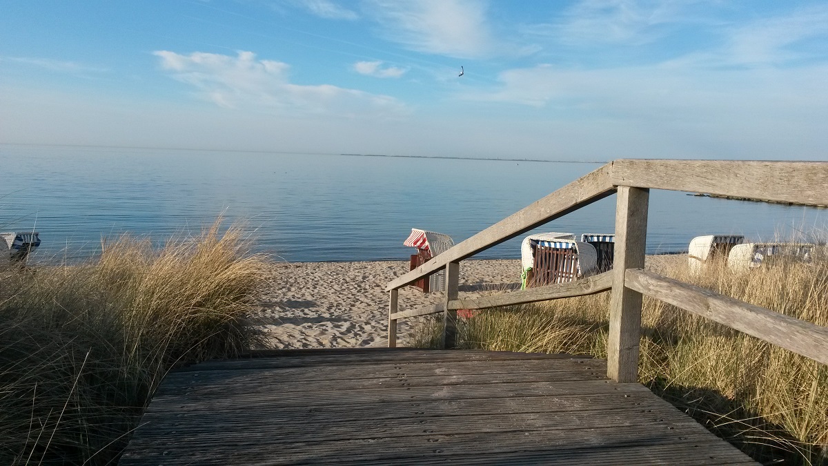 Strandkorbvermietung David Haß (ehemals Schmedicke) 