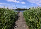 Zugang zum Bischofsee ...