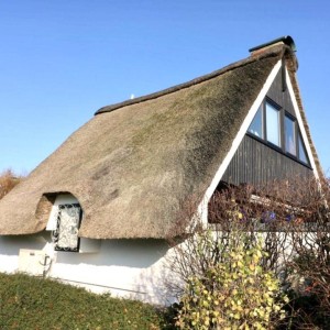 kuscheliges Reetdachhaus