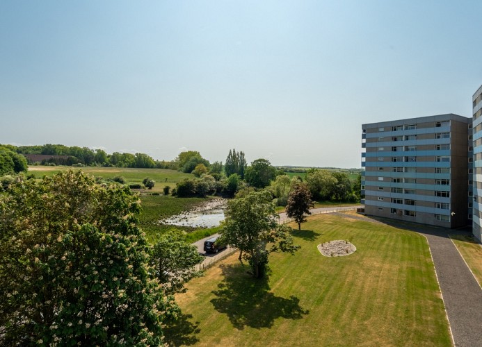 Blick ins Grüne