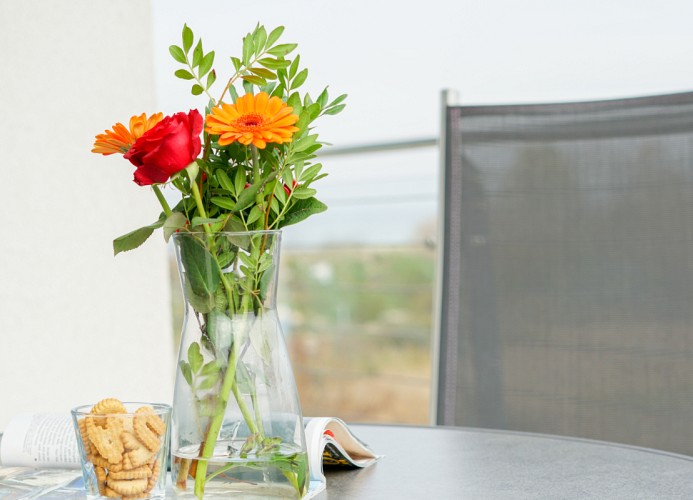 ... vom sonnigen ...