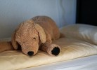 ... Etagenbett