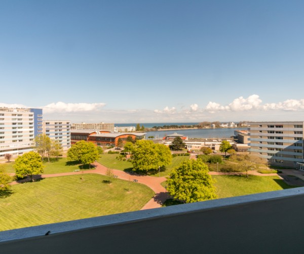 herrlicher Binnenseeblick