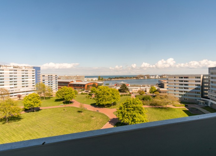 herrlicher Binnenseeblick