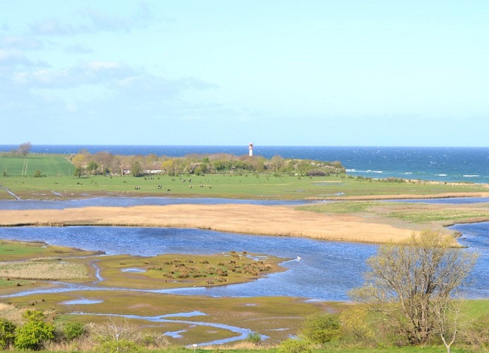 herrlicher Ostseeblick