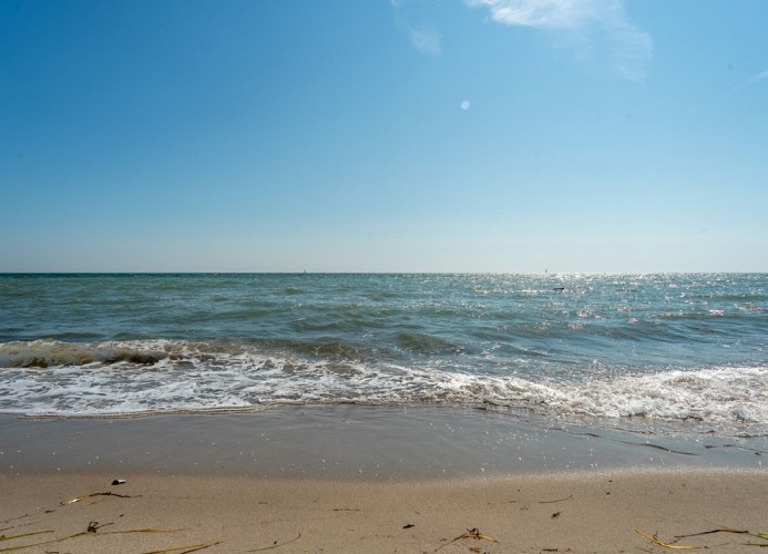 ... von der sonnigen ...