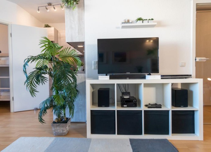 TV-Board