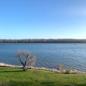 Seeblick