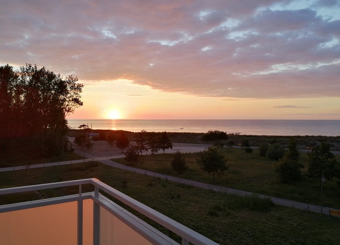 Ausblick