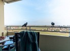 ... vom Balkon