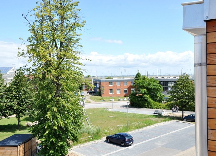 ... zum Wilhelmplatz