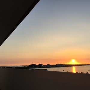 Ausblick
