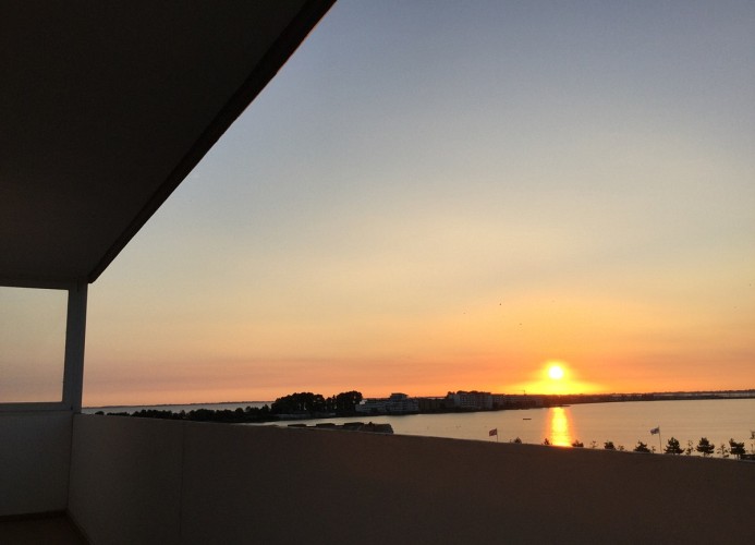 Ausblick