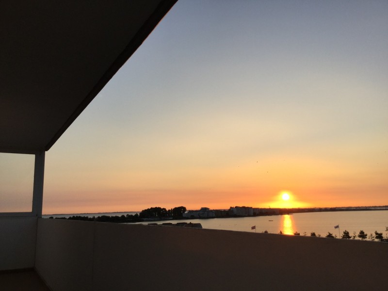 Ausblick